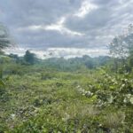 listing image thumbnail with ID 54692