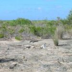 listing image thumbnail with ID 53546