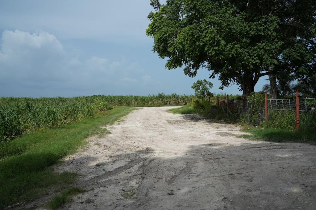 listing image with ID 56450