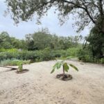 listing image thumbnail with ID 53354