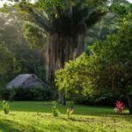 listing image thumbnail with ID 52775