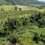 listing image thumbnail with ID 56214