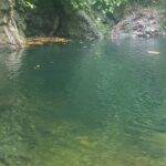 listing image thumbnail with ID 52471