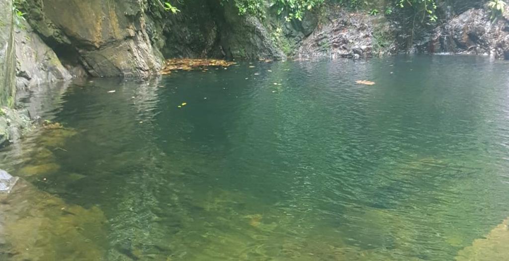 listing image with ID 52471
