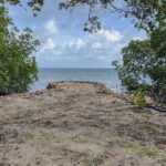 listing image thumbnail with ID 51565