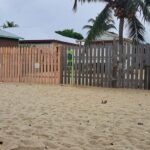 listing image thumbnail with ID 54101