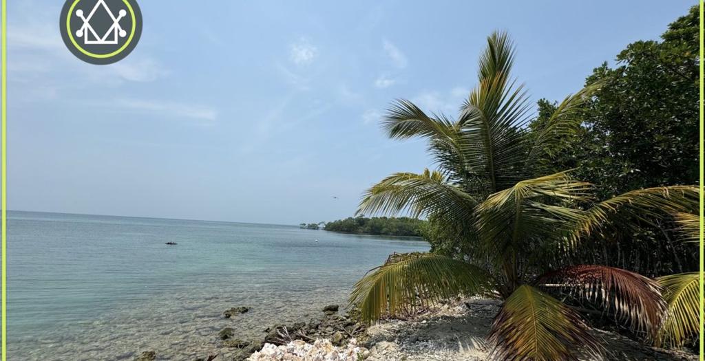 listing image with ID 53196