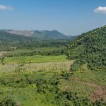 listing image thumbnail with ID 56205