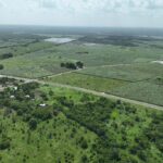 listing image thumbnail with ID 56442