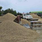 listing image thumbnail with ID 52705