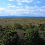 listing image thumbnail with ID 56147