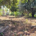 listing image thumbnail with ID 52733