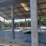 listing image thumbnail with ID 53981