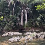 listing image thumbnail with ID 52273