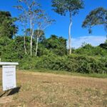 listing image thumbnail with ID 56145