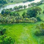 listing image thumbnail with ID 54210