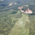 listing image thumbnail with ID 53927