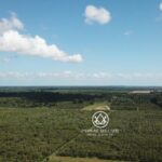 listing image thumbnail with ID 53918