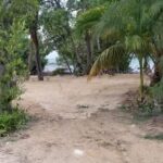 listing image thumbnail with ID 54456