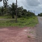 listing image thumbnail with ID 53913