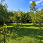 listing image thumbnail with ID 55813