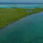 listing image thumbnail with ID 52433