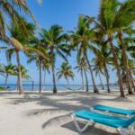 listing image thumbnail with ID 51922