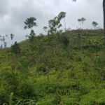 listing image thumbnail with ID 52303