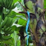 listing image thumbnail with ID 53986