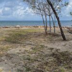 listing image thumbnail with ID 51568