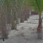 listing image thumbnail with ID 54152