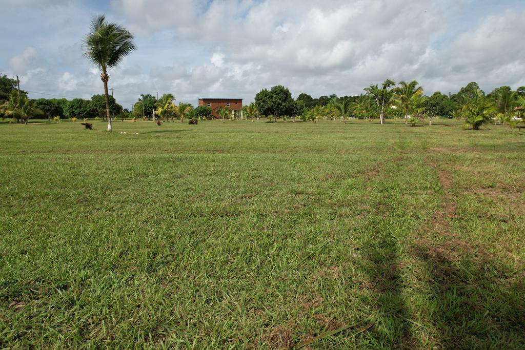 listing image with ID 54708