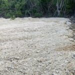 listing image thumbnail with ID 53298