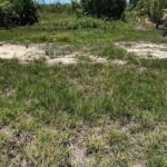 listing image thumbnail with ID 54150