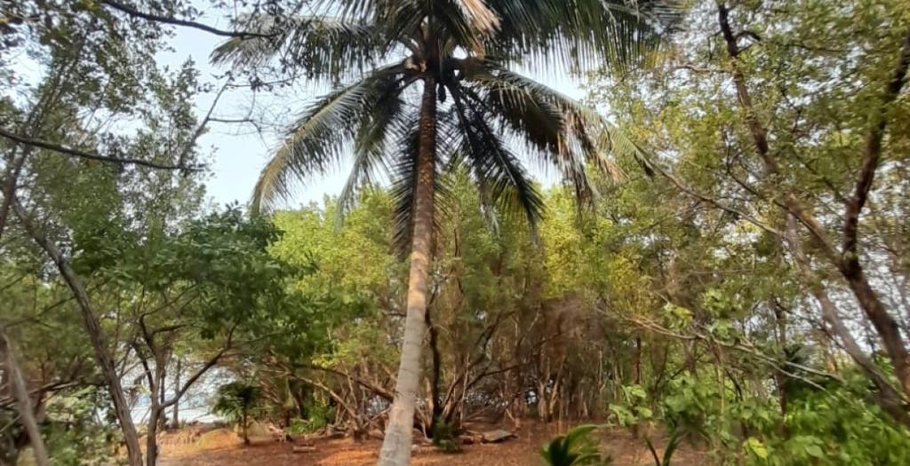 listing image with ID 53832