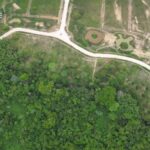 listing image thumbnail with ID 52216