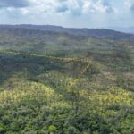 listing image thumbnail with ID 51780