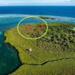 listing image thumbnail with ID 52768