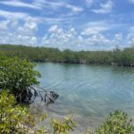 listing image thumbnail with ID 52102