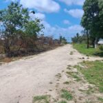 listing image thumbnail with ID 52612