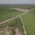 listing image thumbnail with ID 54283