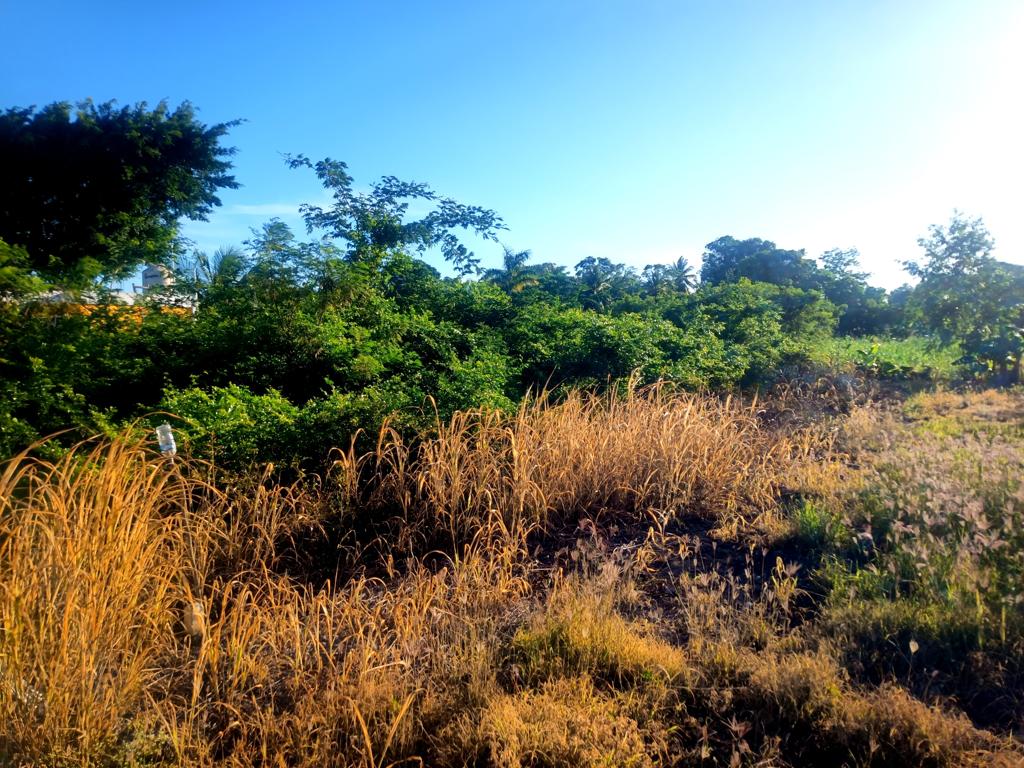 listing image with ID 51748