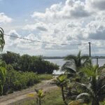 listing image thumbnail with ID 55310