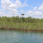 listing image thumbnail with ID 53959