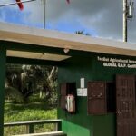 listing image thumbnail with ID 53928