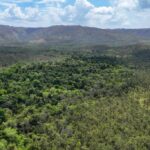 listing image thumbnail with ID 51775