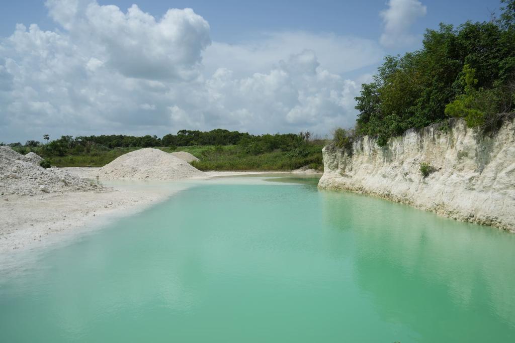 listing image with ID 56447