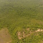 listing image thumbnail with ID 53237