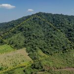 listing image thumbnail with ID 56206