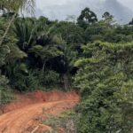 listing image thumbnail with ID 54484